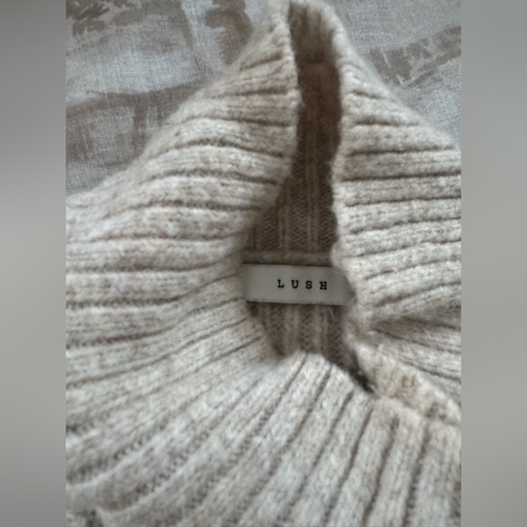 LUSH Turtleneck Sweater - Picture 5 of 6